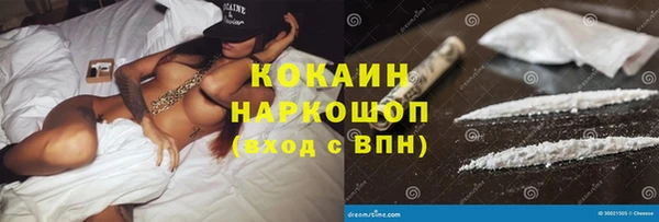 сатива Абинск