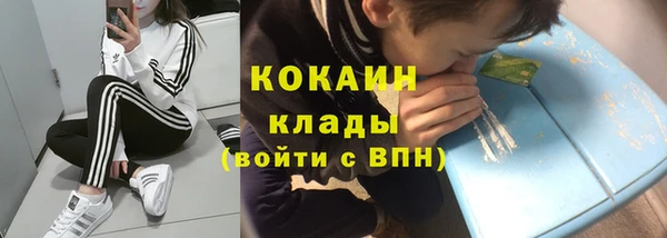 сатива Абинск